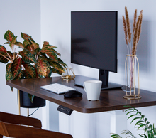 Load image into Gallery viewer, Endesk