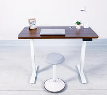 Load image into Gallery viewer, Endesk