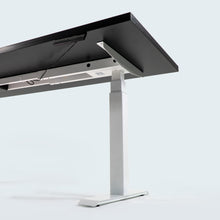 Load image into Gallery viewer, Monochrome Series