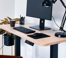 Load image into Gallery viewer, Endesk