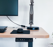 Load image into Gallery viewer, Endesk