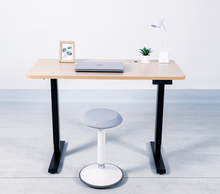 Load image into Gallery viewer, Endesk