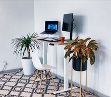 Load image into Gallery viewer, Endesk