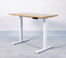 Load image into Gallery viewer, Endesk